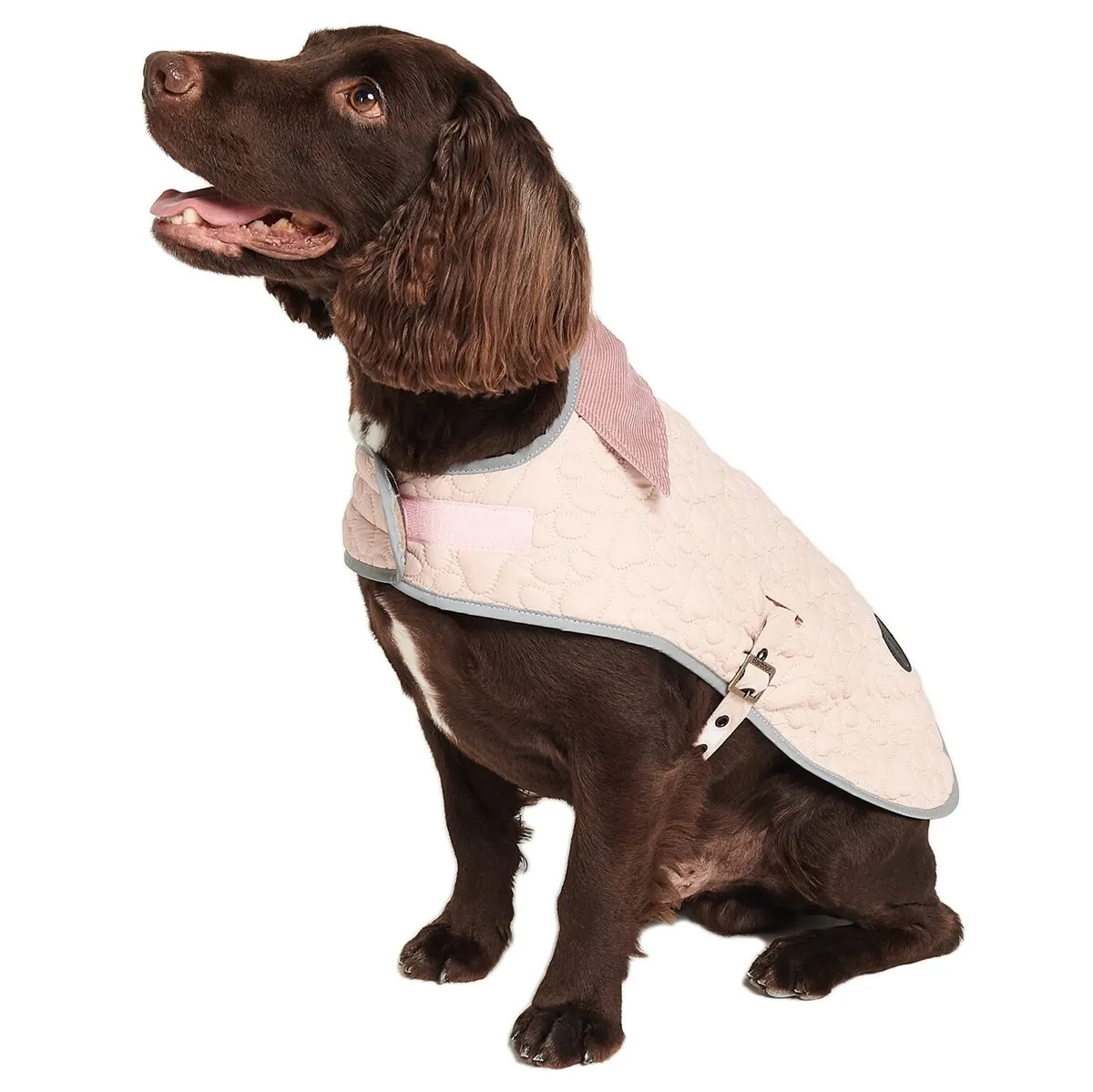 Barbour Paw Quilted Dog Coat