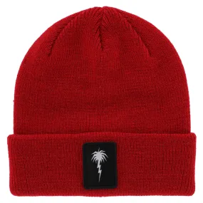 Capita Spring Break Palm Beanie