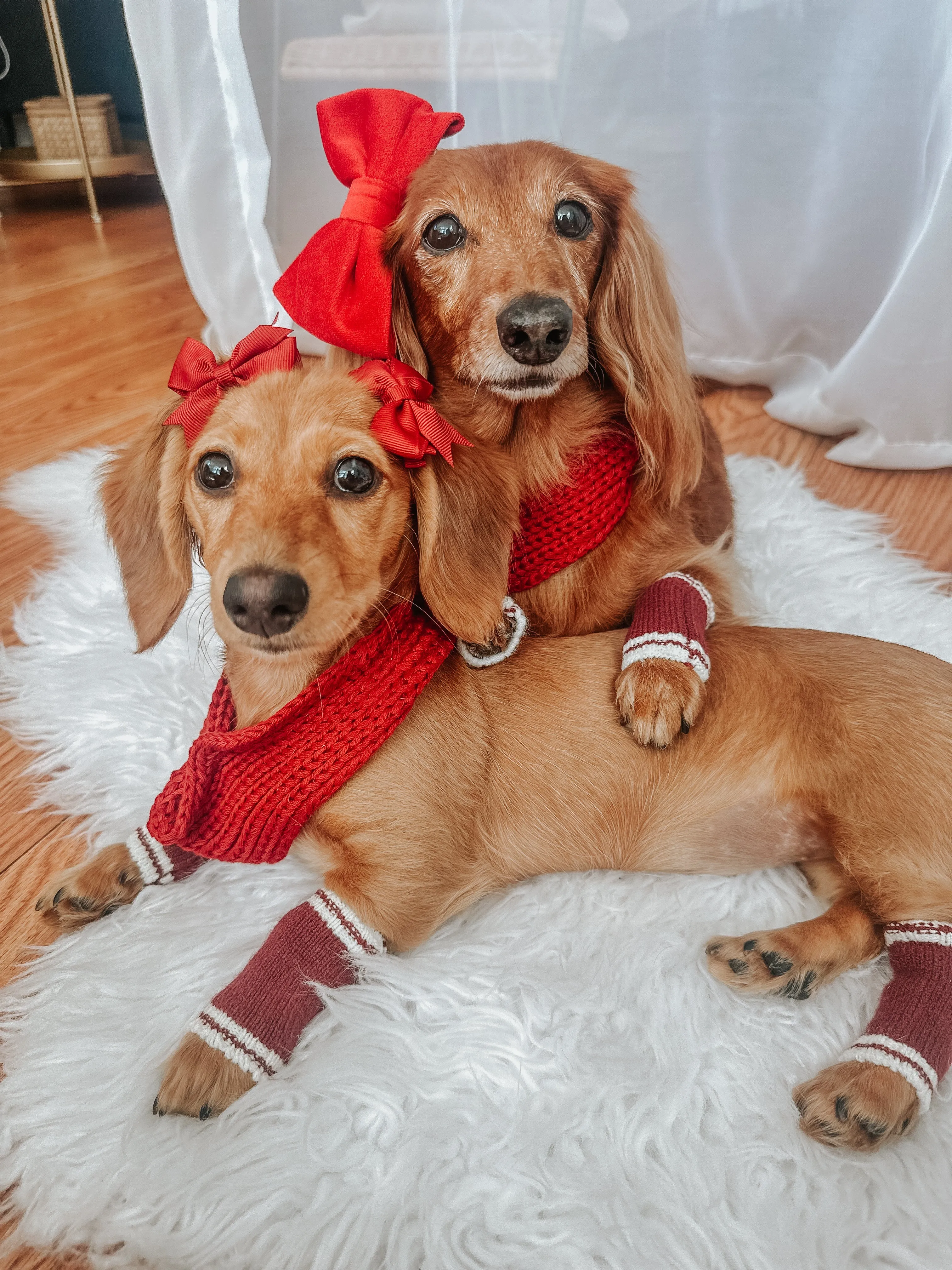 Dog Infinity Scarf - Red