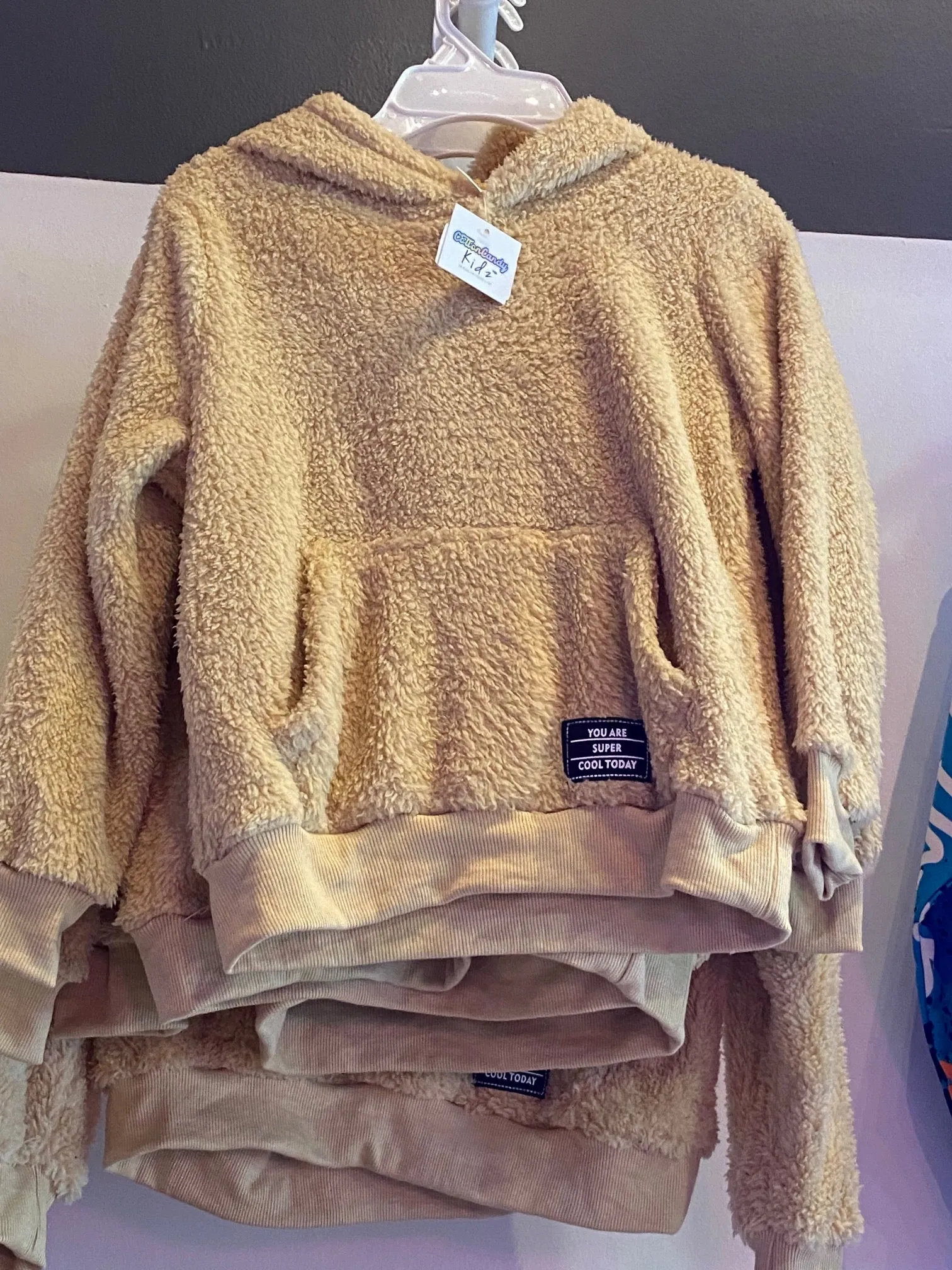 Fuzzy Brown Boy Hoodie