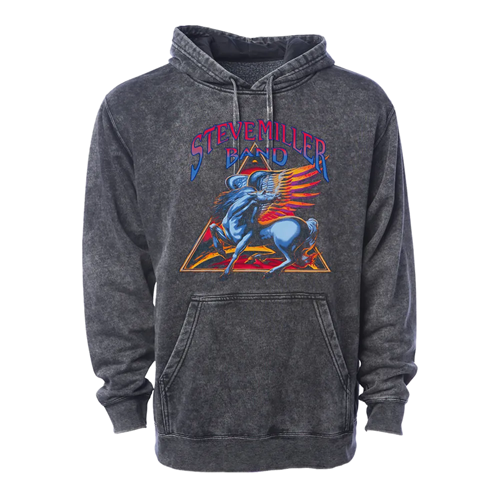 Mineral Wash Black Pull Hoodie Pegasus Triangle Tour 2024