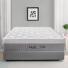 MLILY Lotus Double Hybrid Mattress