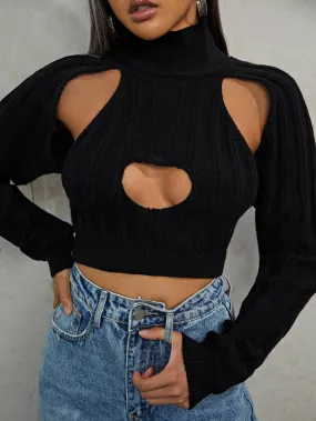 Sexy Plain Cut Out Long Sleeve High Neck Crop Women Sweater